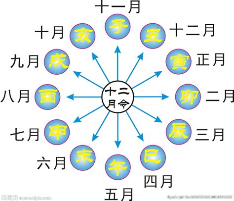 十二地支屬性|地支